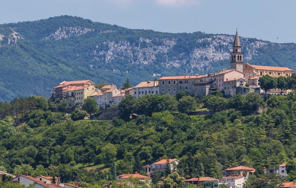 Ema Apartamento Buzet Exterior foto